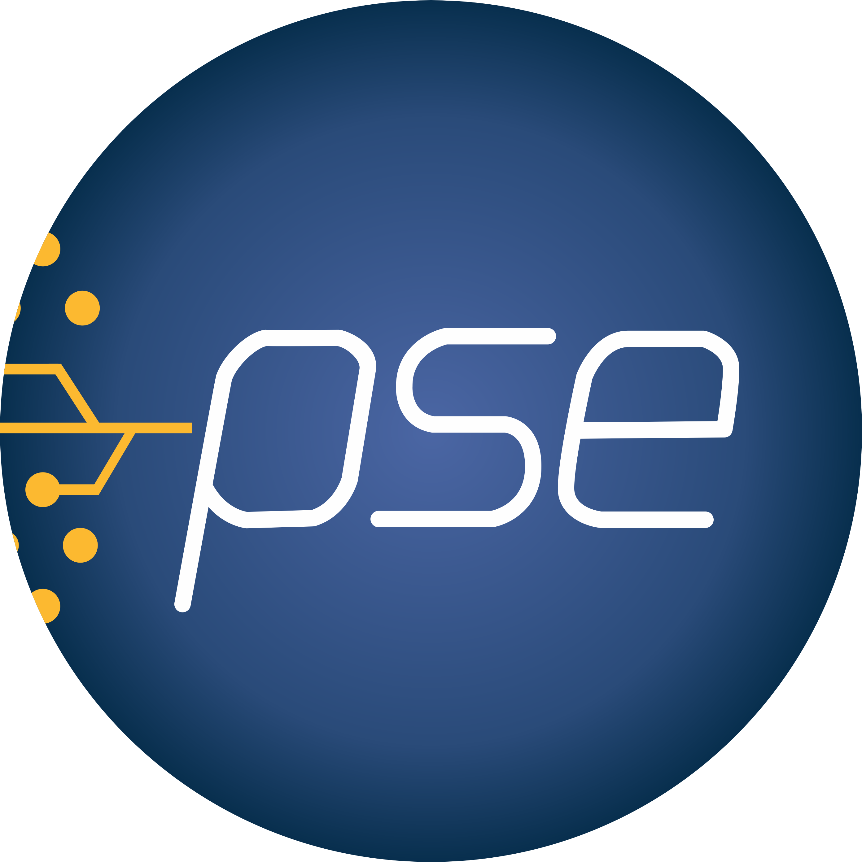PSE Logo